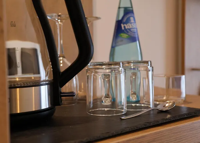 酒店 An Der Therme 巴特迪克海姆